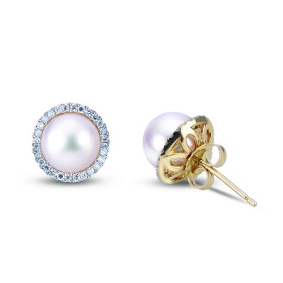 14KT Yellow Gold Akoya Pearl Earring